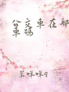 公交车在哪刷乘车码