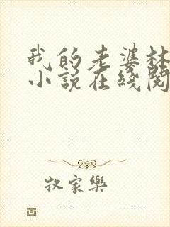 我的老婆林慧茹小说在线阅读无弹窗
