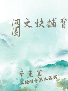 网文快捕背影家园