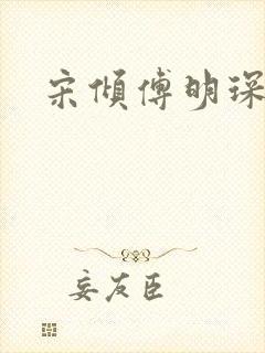 宋倾傅明琛小说