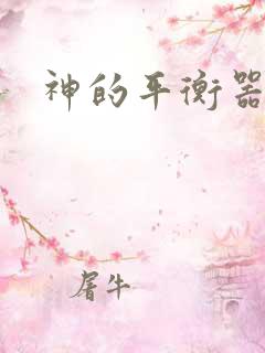 神的平衡器