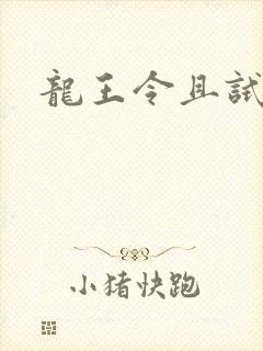 龙王令且试天下