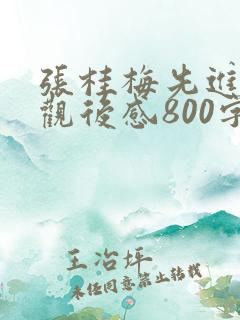 张桂梅先进事迹观后感800字范文5篇