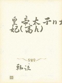 皇帝太子n太子妃(高h)