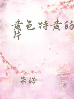 黄色特黄的一级片