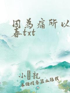 因为痛所以叫青春txt