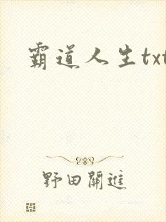 霸道人生txt