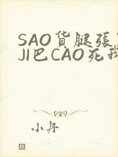 SAO货腿张开JI巴CAO死我