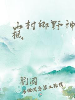 山村乡野神医叶枫