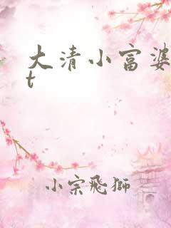 大清小富婆txt