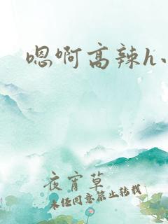 嗯啊高辣h小说