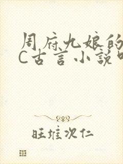 周府九娘的NPC古言小说叫什么