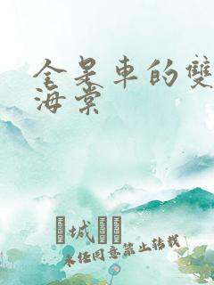 全是车的双男主海棠