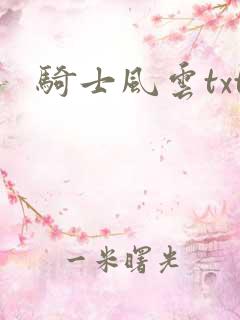 骑士风云txt