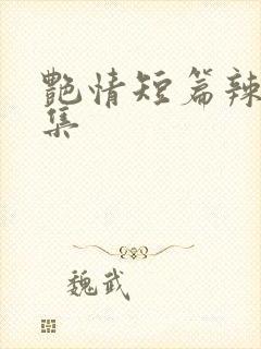 艳情短篇辣文合集