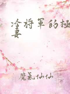 冷将军的极品娇妻