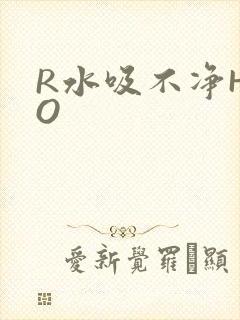 R水吸不净HPO