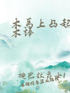 木马上凸起电动木棒
