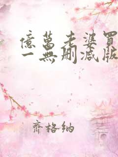 亿万老婆买一送一无删减版