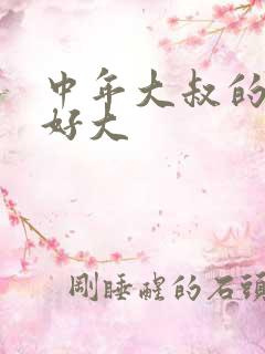 中年大叔的包包好大