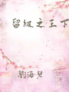 留级之王下载