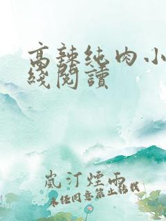 高辣纯肉小说在线阅读