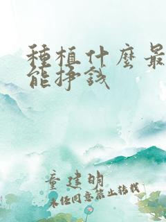 种植什么最快最能挣钱