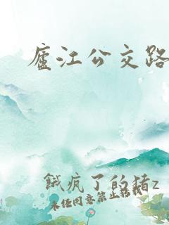庐江公交路线