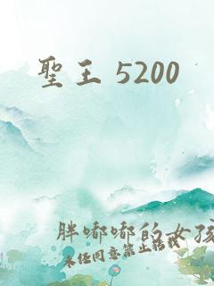 圣王 5200