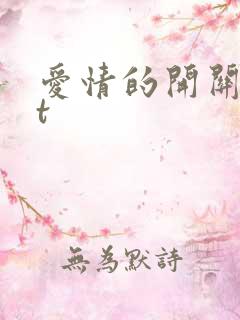 爱情的开关txt