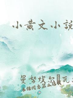 小黄文小说