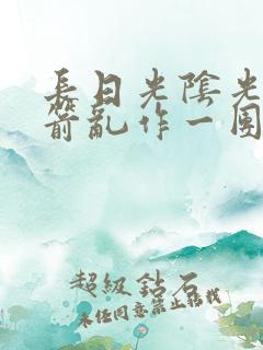 长日光阴光阴似箭乱作一团小说