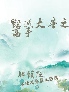 毁灭大唐之异能高手