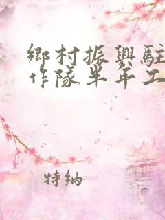 乡村振兴驻村工作队半年工作总结