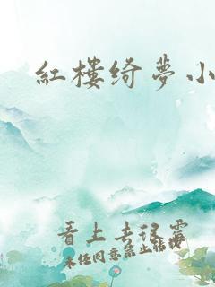 红楼绮梦小说