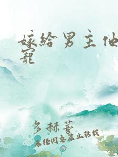 嫁给男主他爹肉宠