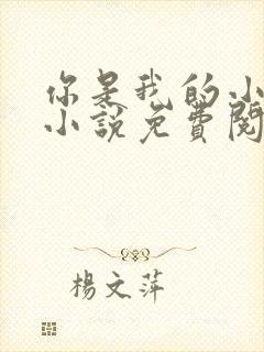 你是我的小确幸小说免费阅读