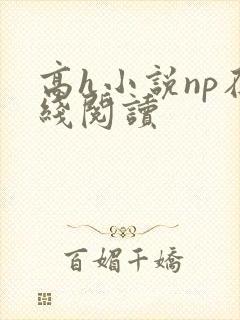 高h小说np在线阅读