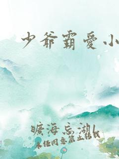 少爷霸爱小丫头
