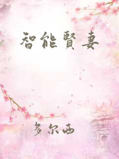 智能贤妻