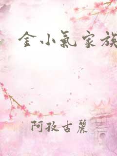 金小气家族小说