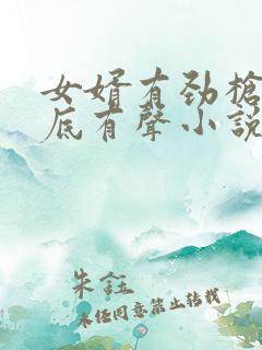 女婿有劲枪枪到底有声小说