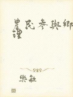 农民参与乡村治理