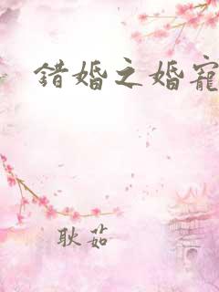 错婚之婚宠一世