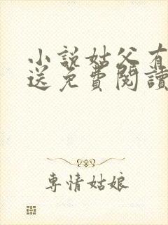 小说姑父有力挺送免费阅读