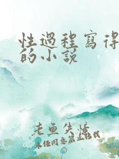 性过程写得详细的小说