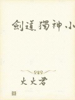 剑道独神小说