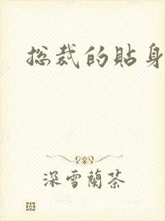 总裁的贴身冷秘