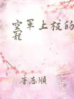 空军上校的邪魅宠