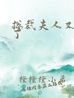 总裁夫人又征婚了